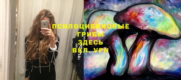стафф Алексин