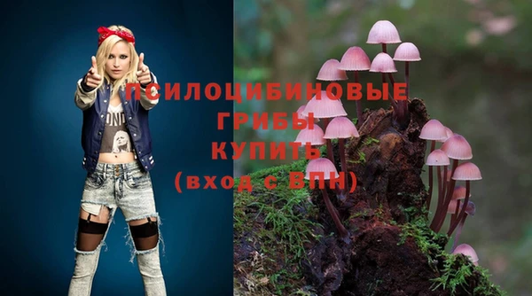 стафф Алексин