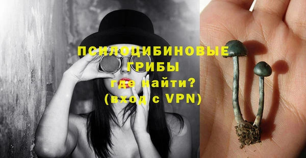 стафф Алексин